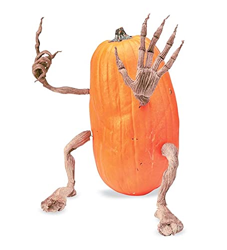 Plow & Hearth Set of 4 Bendable Pumpkin Arms and Legs | Create Whimsical Halloween Decor | Spooky Vine Design | Includes 2 arms and 2 Legs