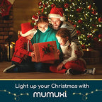 MUMUXI LED Fairy Lights Battery Operated String Lights [12 Pack] 7.2ft 20 Battery Powered LED Lights | Mini Lights, Centerpiece Table Decorations, Wedding Party Bedroom Mason Jar Christmas, Warm White