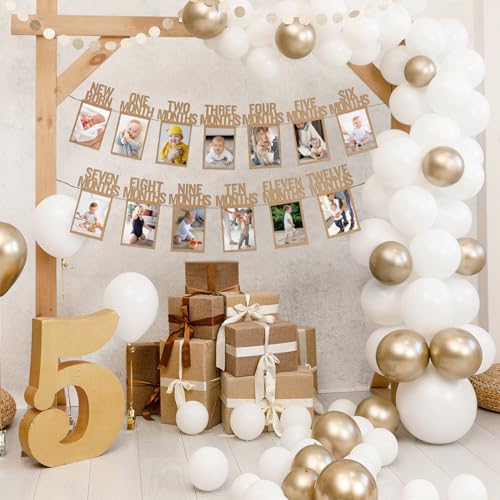 HiParty 1st Birthday Baby Photo Banner for Newborn to 12 Months, First Birthday Decorations for Boys or Girls, First Birthday Photo Banner Pre-Strung with Frame,Monthly Milestones Birthday Party Kit