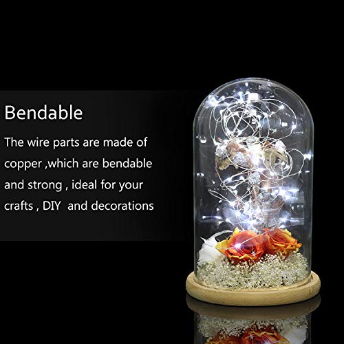 LEDIKON 24 Pack Cool White Fairy Lights Battery Operated 3.3ft 20 LED Firefly Lights, Waterproof Mini String Lights for Wedding Party Crafts Mason Jars Decor