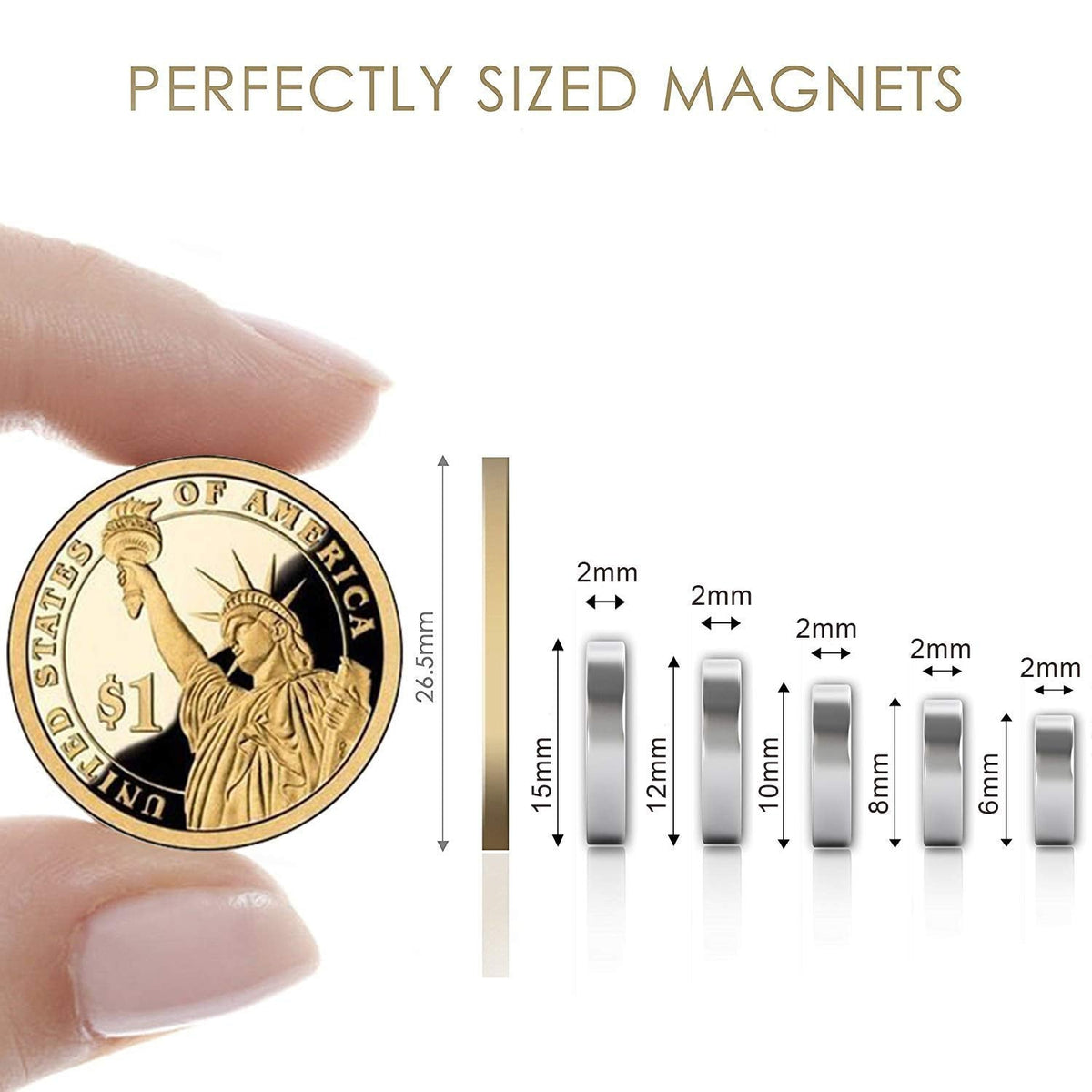 DIYMAG 100Pcs 5 Different Sizes Small Refrigerator Magnets, Tiny Round Disc Fridge Magnets for Office, Hobbies, Crafts, Whiteboard, Dry Erase Board and Push Pins