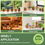 15pcs Succulent Needle Felting Kit for Beginners Adult - DIY Starter Kit with Wool Roving, Felting Mat, Needles, Instructions for Home Decoration Crafts