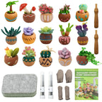 15pcs Succulent Needle Felting Kit for Beginners Adult - DIY Starter Kit with Wool Roving, Felting Mat, Needles, Instructions for Home Decoration Crafts