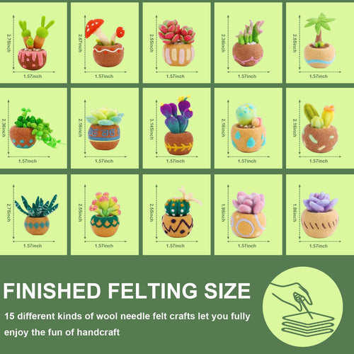 15pcs Succulent Needle Felting Kit for Beginners Adult - DIY Starter Kit with Wool Roving, Felting Mat, Needles, Instructions for Home Decoration Crafts