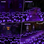 2-Pack Solar Halloween Eyeball Garden Lights — Purple