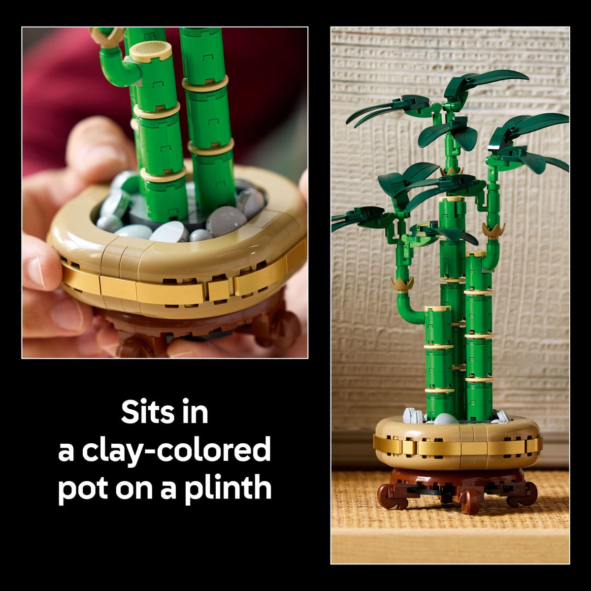 LEGO Botanicals Lucky Bamboo Building Set - Artificial Plant for Indoor Home Décor, Adults Ages 18+ - Fake Plant Decoration for Table, Desk, Office - Gift for Graduation - 10344