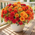 12 Pcs Artificial Mums Flowers for Outdoor, UV Resistant Fake fall Chrysanthemums Marigold Plant, Autumn Floral Arrangements for Outside, Garden, Yard (12, Orange, Burnt Orange, Red, Burgundy)