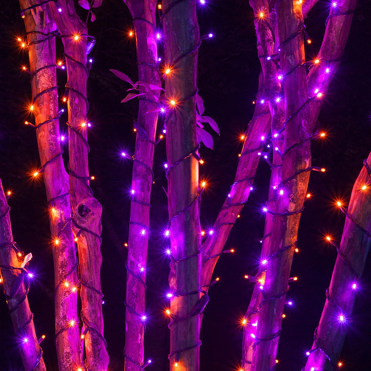 Dazzle Bright Purple and Orange Halloween Lights, 66FT 200 LED Halloween Lights Outdoor with 8 Modes, Waterproof Halloween Decorations for Indoor Outdoor Patio Party